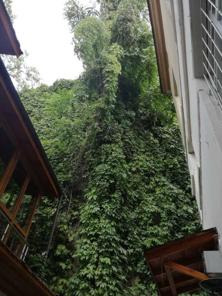 Guest Rooms Opera Plowdiw Exterior foto